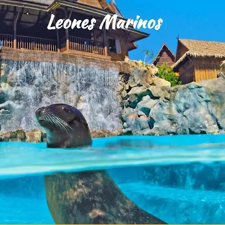 Apartament Tenerifeshouthbeach Playa de las Americas (Tenerife)