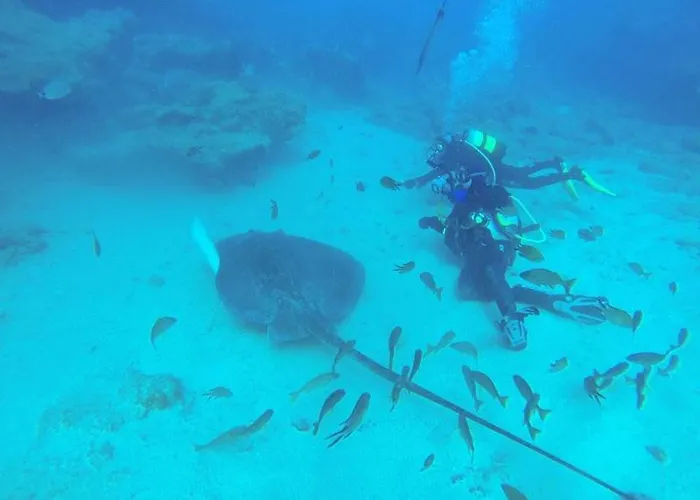 Tenerifeshouthbeach شقة