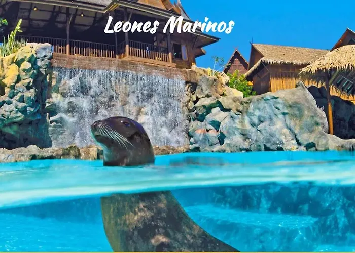 شقة Tenerifeshouthbeach بلايا ذي لاس أميريكاس