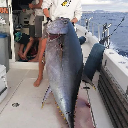 Tenerifeshouthbeach Apartment *