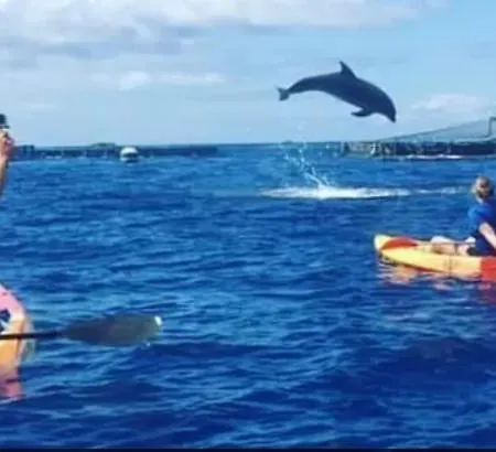 Tenerifeshouthbeach Playa de las Americas (Tenerife)