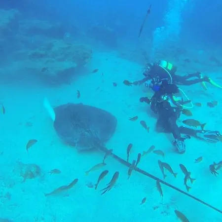 Tenerifeshouthbeach Apartamento