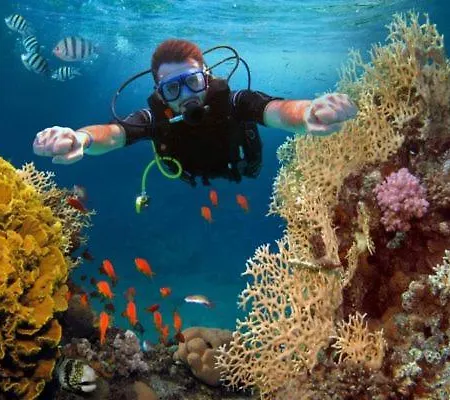 Apartamento Tenerifeshouthbeach Playa de las Americas (Tenerife)