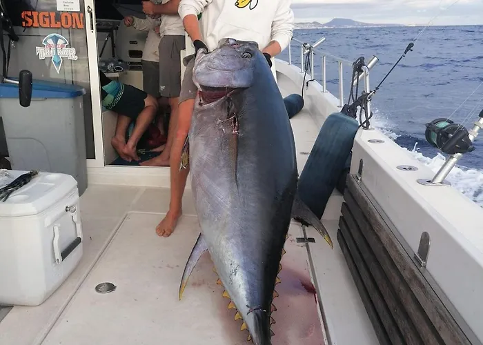 Tenerifeshouthbeach Appartamento *