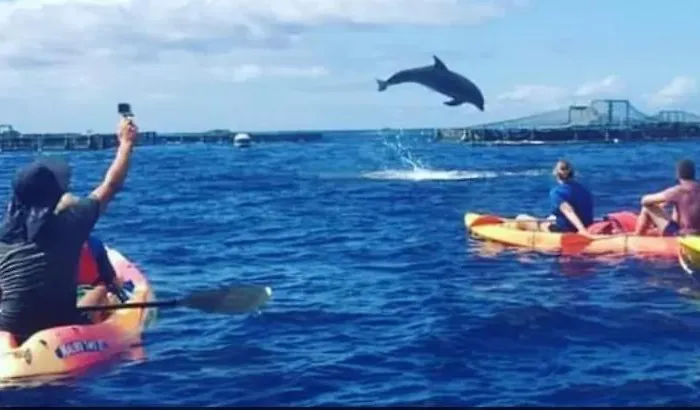 Tenerifeshouthbeach Πλάγια ντε λας Αμέρικας